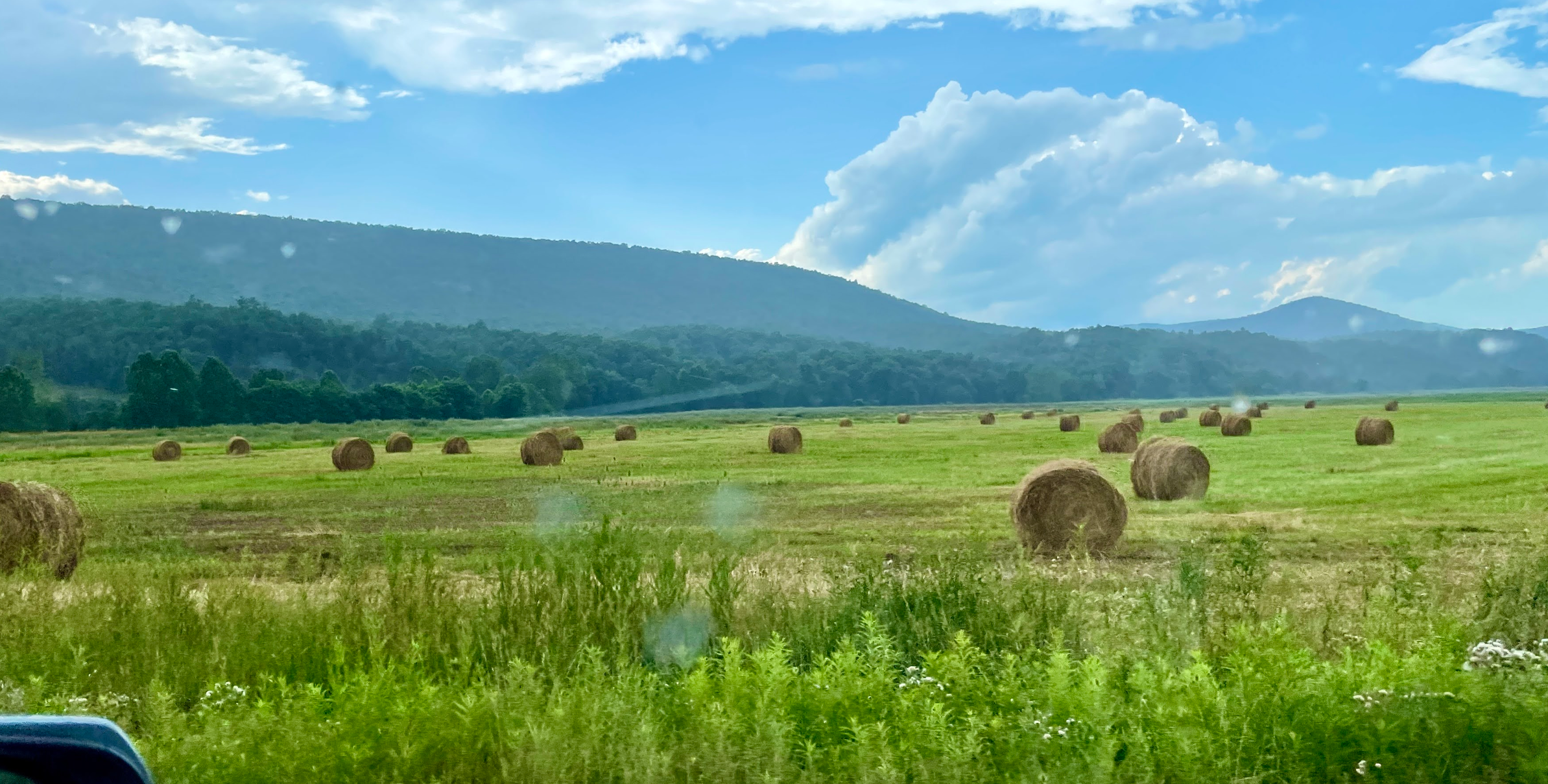 High contrast black and white architectural photography of modern brutalist building